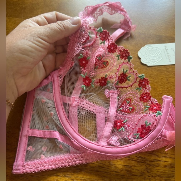 NWT For Love & Lemons Whimsical Garden Doily heart Bra - Pink - size 34C - Picture 6 of 10